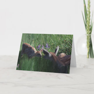 Deer Doe and Fawn stationery cards blank inside.