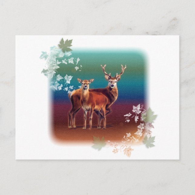 Deer Duo Postcard (Front)