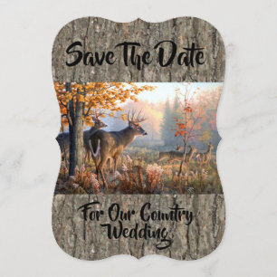 Deer Family Playing In Field Save The Date