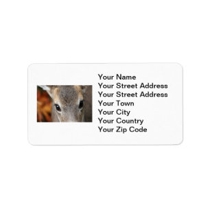 Deer Fawn Closeup Portrait Label