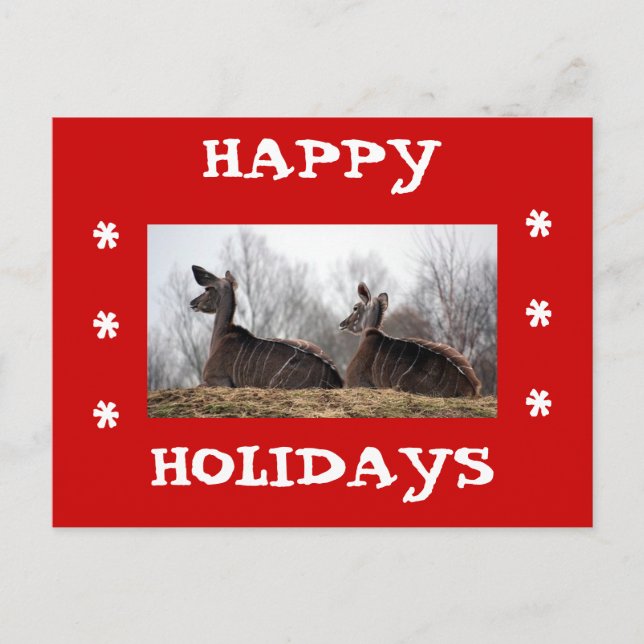 Deer Friend, Happy Holidays Holiday Postcard (Front)