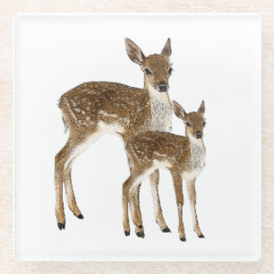 Deer Glass Coaster