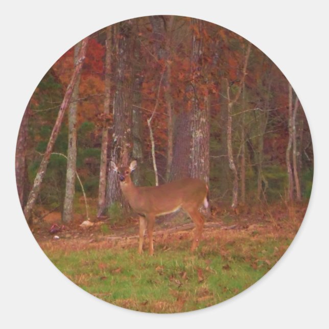 Deer , Green Grass red and Gold leaves Classic Round Sticker (Front)