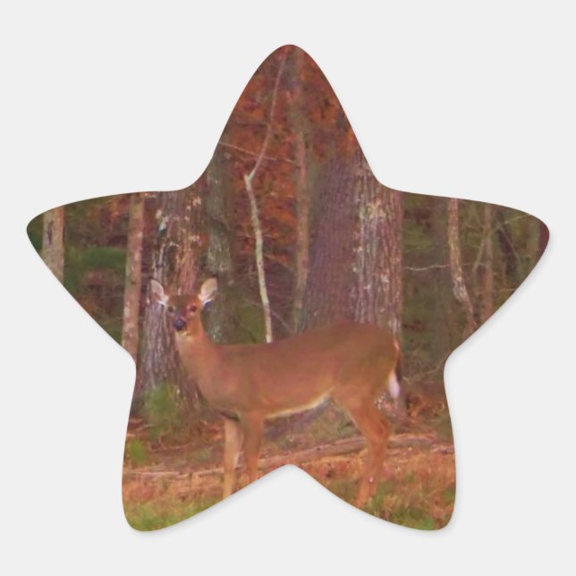 Deer , Green Grass red and Gold leaves Star Sticker (Front)