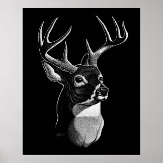 Deer Head Scratchboard-style Poster