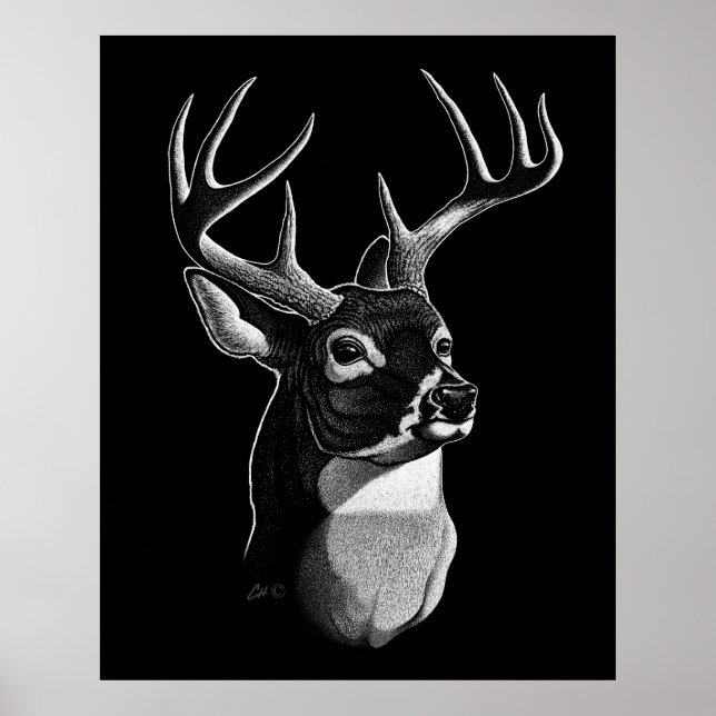 Deer Head Scratchboard-style Poster (Front)