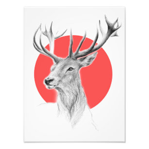 Deer head Stag drawing Red circle Animal art Photo Print