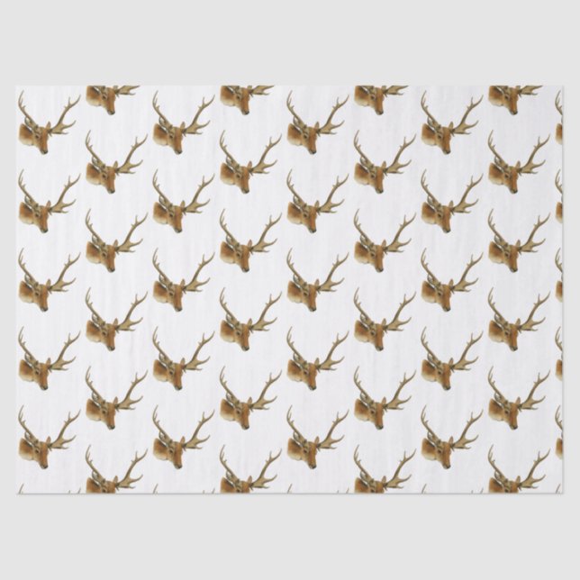 Deer Head with Medium Antlers #1 Tissue Paper (Front)