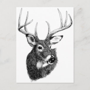 deer headgif postcard