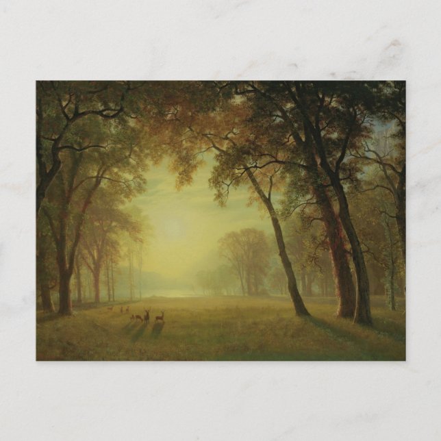 Deer in a Clearing, Yosemite by Albert Bierstadt Postcard (Front)