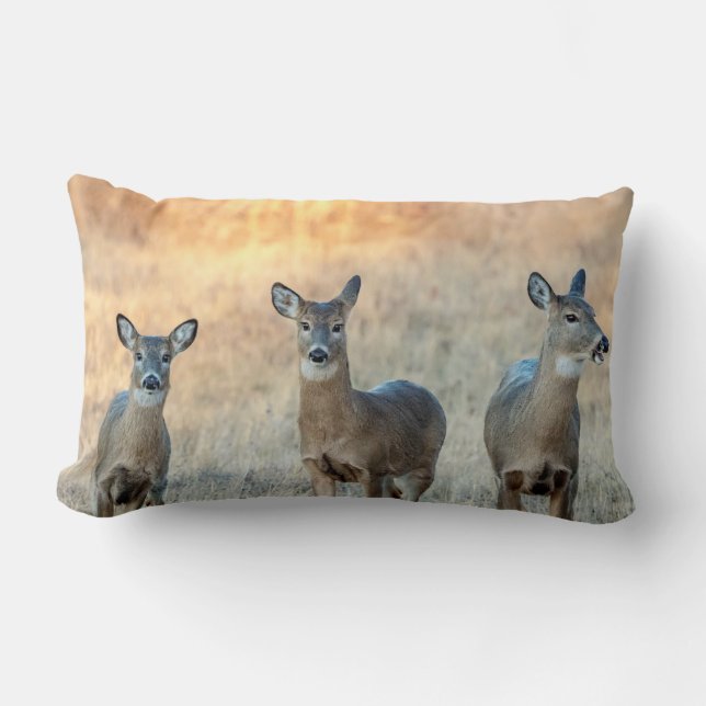 Deer in a field lumbar pillow (Front)