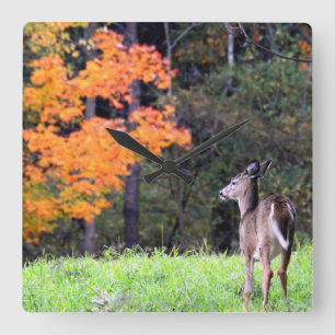 Deer In an Autumn Field II Square Wall Clock