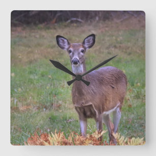 Deer In an Autumn Field Square Wall Clock