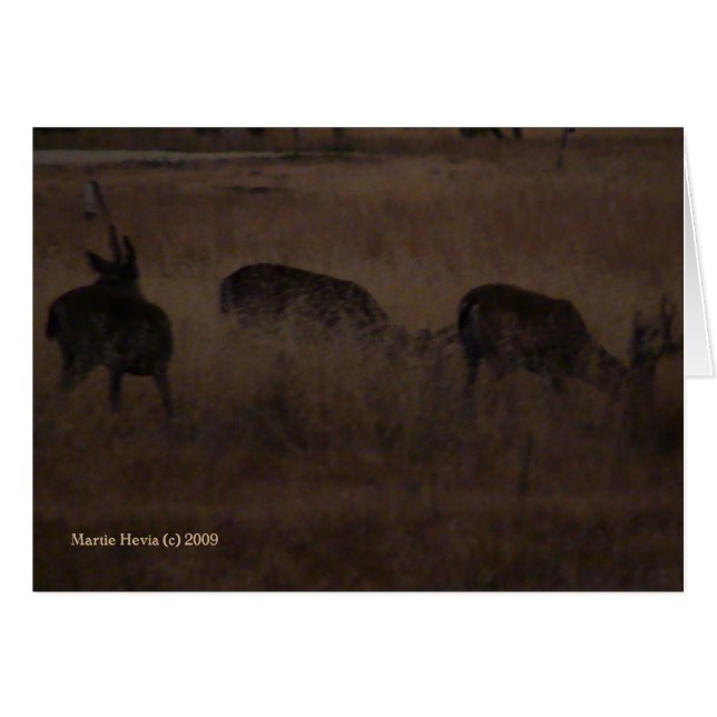 Deer in Dry Grass (2a) - Customizable (Front Horizontal)