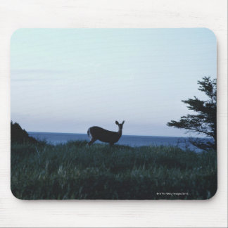 Deer in field by ocean mouse pad