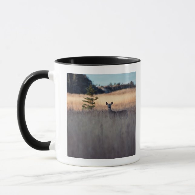 Deer in field of tall grass mug (Left)