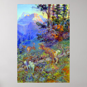 Deer in Forest White Tailed Deer Charles Russell Poster