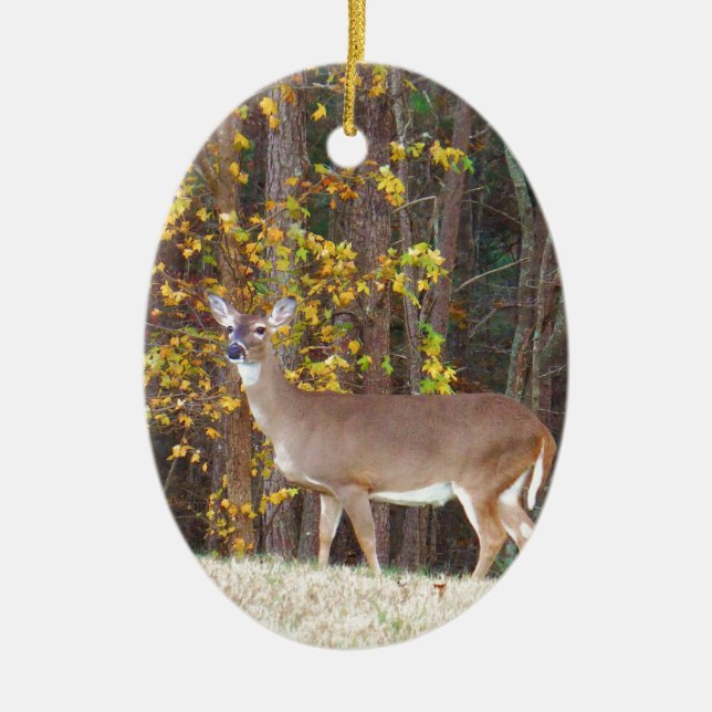 Deer in Front of Yellow Autumn Tree Ceramic Ornament (Front)