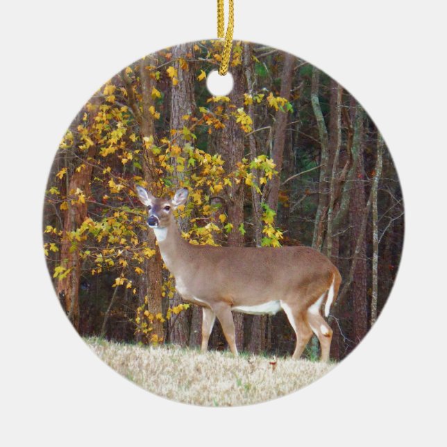 Deer in Front of Yellow Autumn Tree Ceramic Ornament (Front)