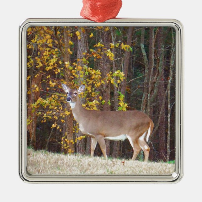 Deer in Front of Yellow Autumn Tree Metal Ornament (Front)
