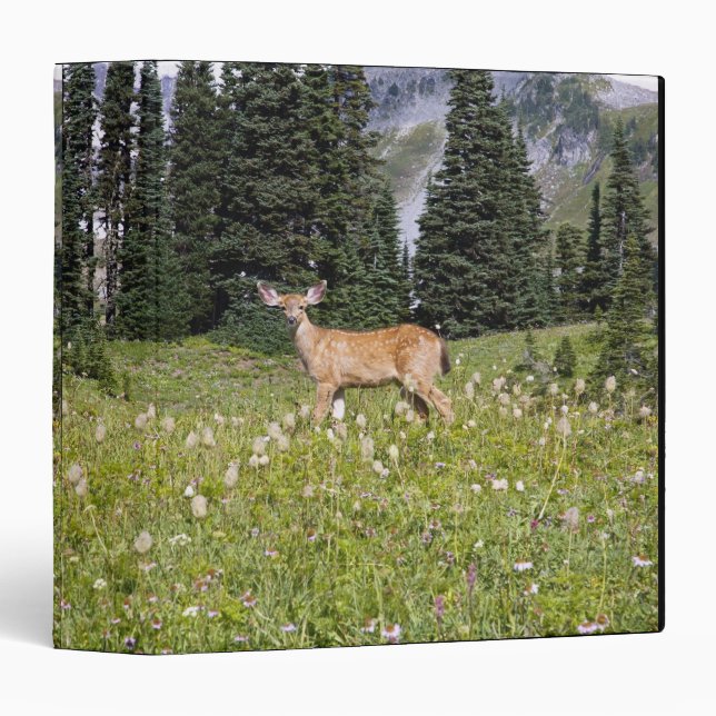 Deer in Paradise Park Binder (Front/Spine)