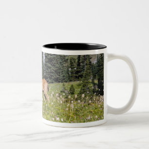 Deer in Paradise Park Two-Tone Coffee Mug