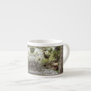 Deer in Rocky Mountain National Park Espresso Cup