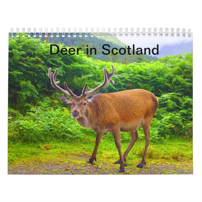 Deer in Scotland - Calendar (Cover)