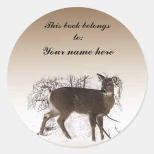 Deer in Snow Bookplate Classic Round Sticker