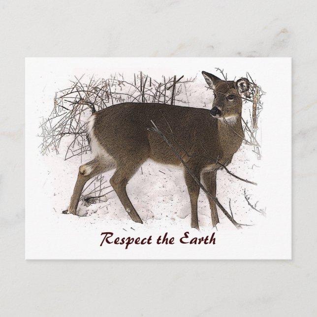 Deer in Snow Earth Day Postcard (Front)