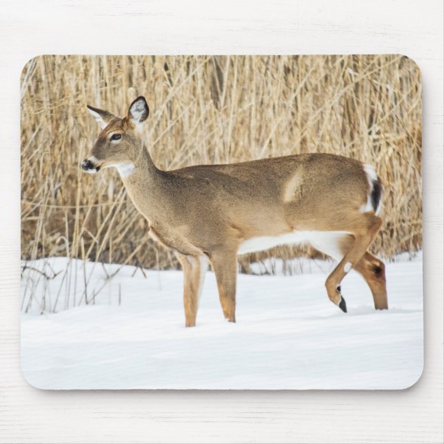 Deer in snow mouse pad (Front)