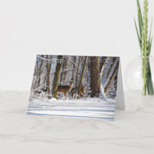 Deer in Snowy Eagle Creek City Park Holiday Card