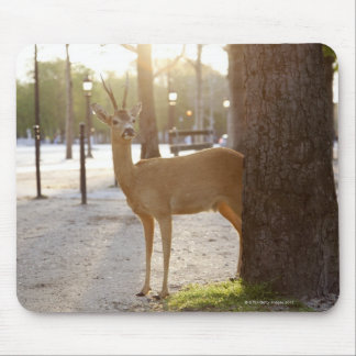 Deer in the city mouse pad