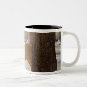 Deer in the city Two-Tone coffee mug