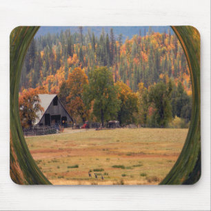 Deer in the Fall... Mouse Pad
