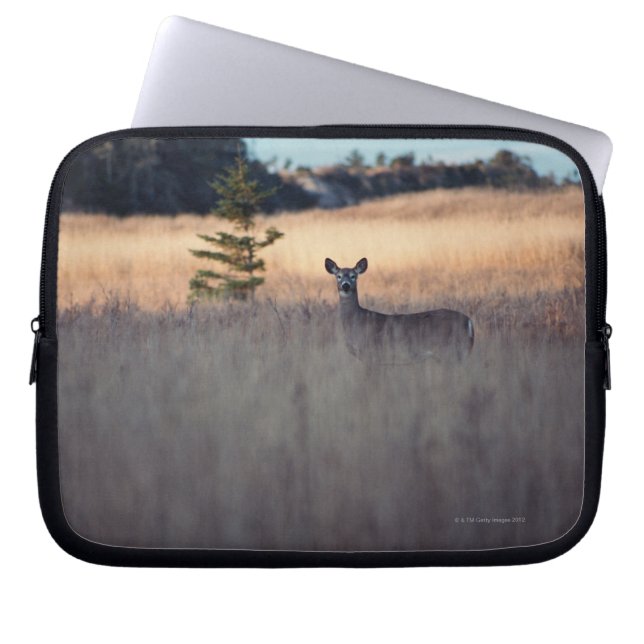 Deer in the Field Laptop Sleeve (Front)