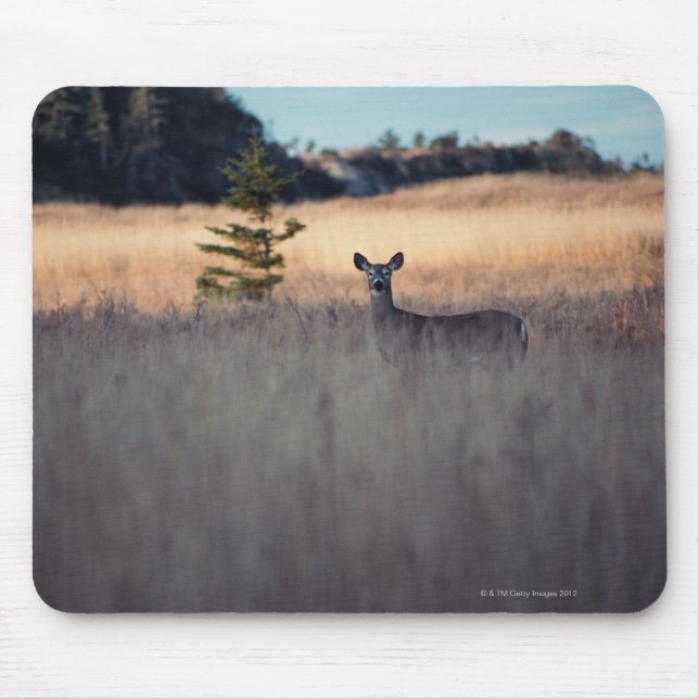 Deer in the Field Mouse Pad (Front)