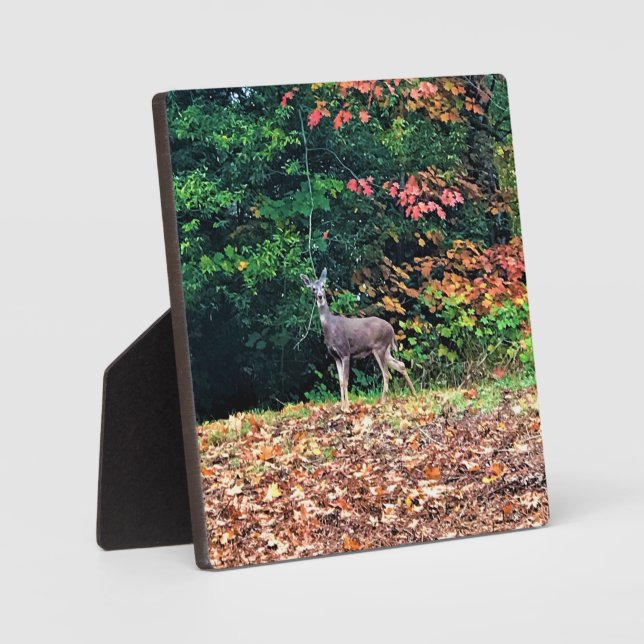 Deer in the Forest, Oregon Plaque (Front)