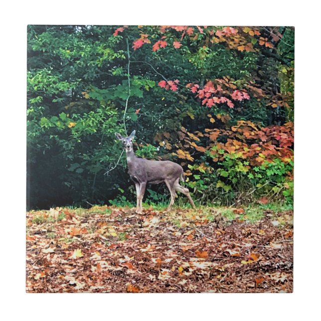 Deer in the Forest, Oregon Tile (Front)
