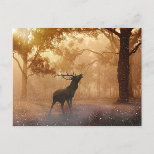 Deer In The Forest Postcard
