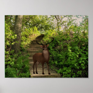 Deer in the forest. poster