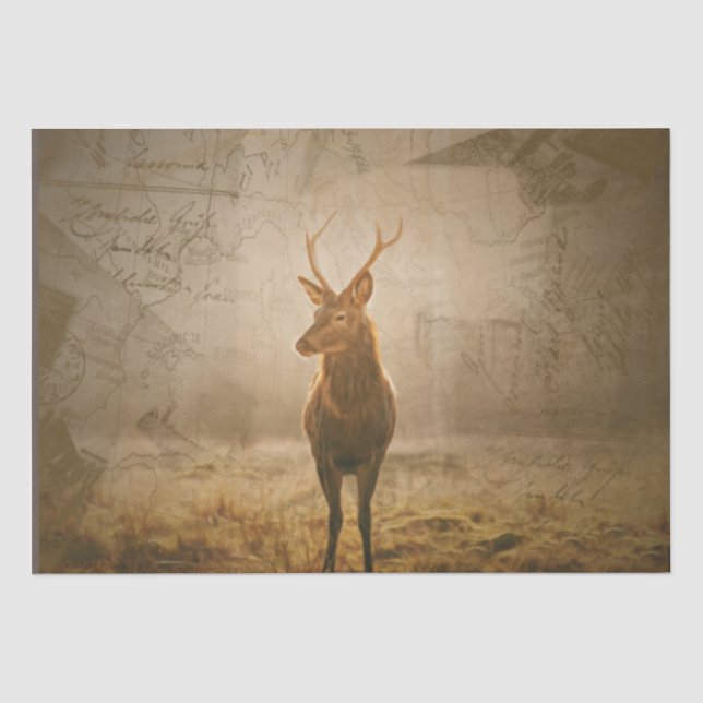 Deer in the forest tissue paper (Front)