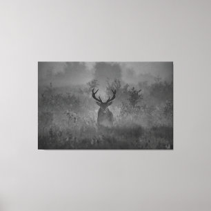 Deer In The Mist Canvas Print