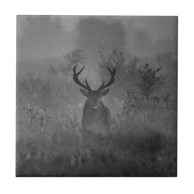 Deer In The Mist Tile (Front)