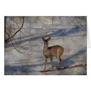 Deer in the snow