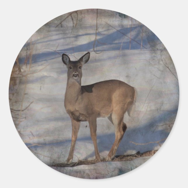 Deer in the snow classic round sticker (Front)