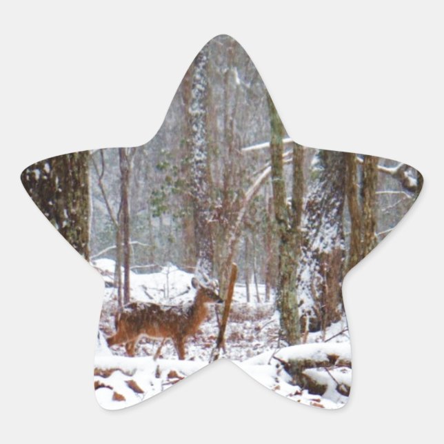 Deer in the snow fall star sticker (Front)