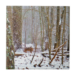 Deer in the snow, licking leg tile