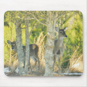 Deer in the snow mouse pad