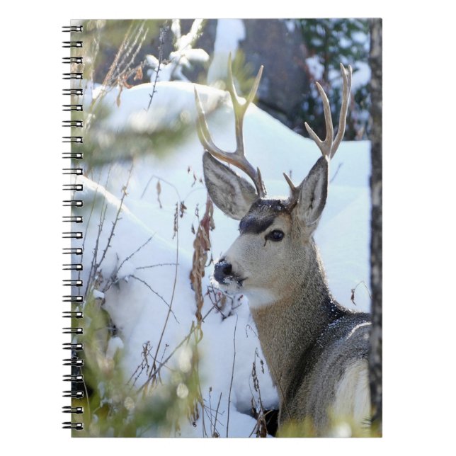 Deer In The Snow Notebook (Front)